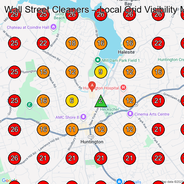 Wall Street Cleaners GeoGrid visibility map for Dry Cleaner in Syosset